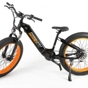 FREEDOM CYCLE FAT CAT ST ELECTRIC BIKE