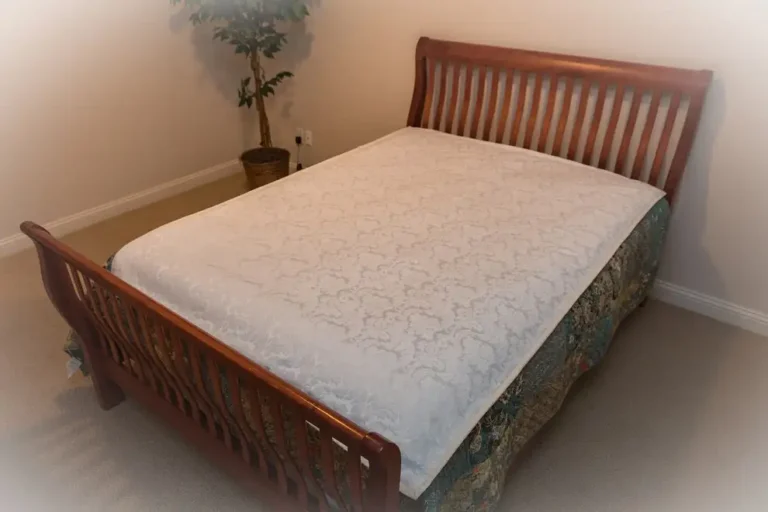 WellnessBlanket-standardorqueensize-onqueenbedrevised